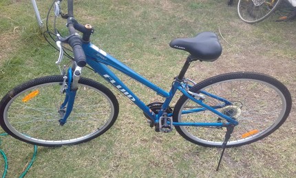 fluid apache fat bike price